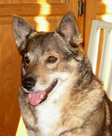 nell
