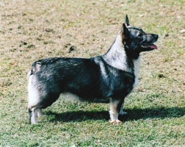 truda