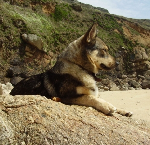 wenna on the beach