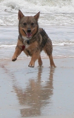 Rakki Beach